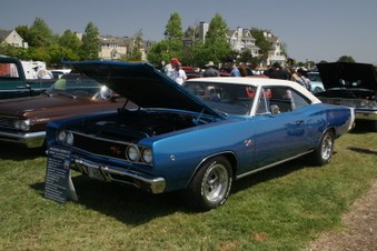 Enlarge photo 50