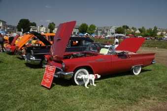 Enlarge photo 53