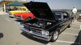 Enlarge photo 37