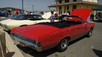 Enlarge photo 44