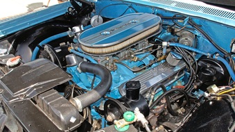 Enlarge photo 72