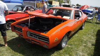 Enlarge photo 78
