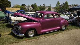 Enlarge photo 80
