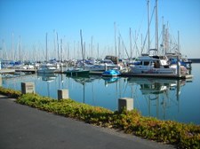 Enlarge photo 45