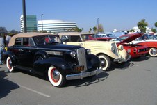 Enlarge photo 11
