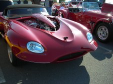 Enlarge photo 59