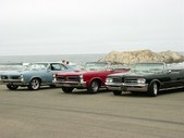 Enlarge photo 57