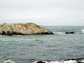 Enlarge photo 67