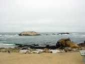 Enlarge photo 59