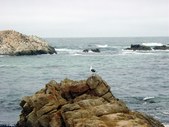 Enlarge photo 60