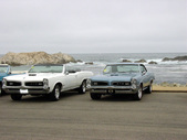 Enlarge photo 65