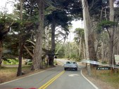 Enlarge photo 78