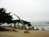 Enlarge photo 81