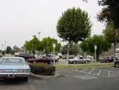 Enlarge photo 82