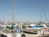 Enlarge photo 11
