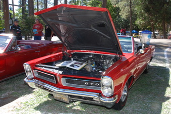 Enlarge photo 47