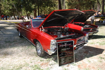 Enlarge photo 49