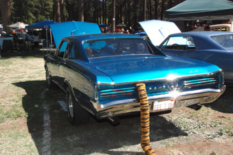 Enlarge photo 51