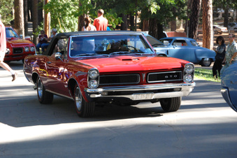 Enlarge photo 75