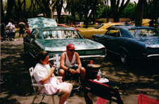 Enlarge photo 310