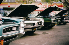Enlarge photo 314