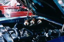 Enlarge photo 30