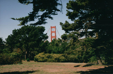 Enlarge photo 58