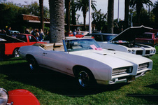 Enlarge photo 75