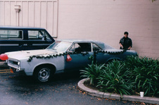 Enlarge photo 95