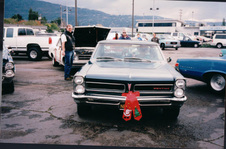 Enlarge photo 117