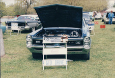 Enlarge photo 134