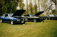 Enlarge photo 137
