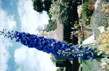 Enlarge photo 169