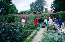 Enlarge photo 173