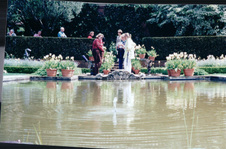 Enlarge photo 174