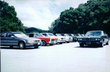 Enlarge photo 182