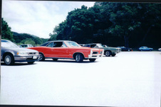 Enlarge photo 183