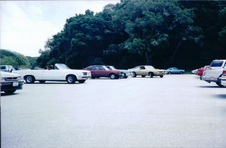 Enlarge photo 186