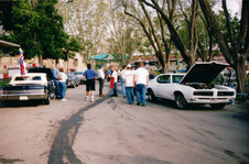 Enlarge photo 193