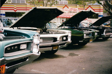 Enlarge photo 196
