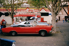 Enlarge photo 198