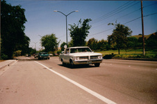 Enlarge photo 235