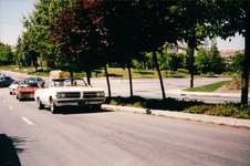 Enlarge photo 242