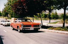 Enlarge photo 243