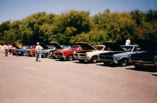 Enlarge photo 265