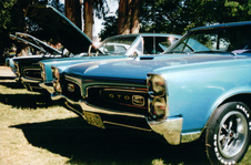 Enlarge photo 380