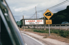 Enlarge photo 393