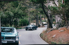 Enlarge photo 397