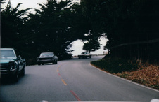 Enlarge photo 399