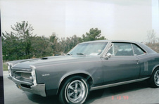 Enlarge photo 426